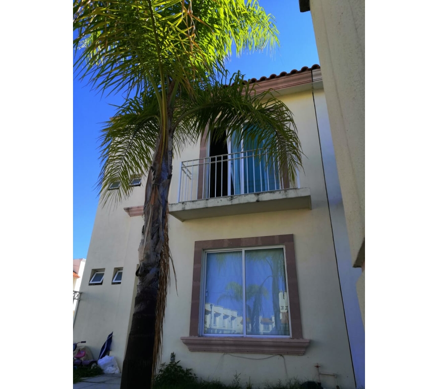 WhatsApp Image 2025-12-11 at 10.48.53 AM (1)