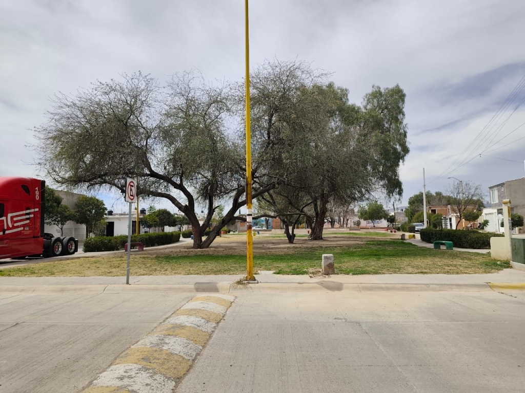 WhatsApp Image 2026-01-30 at 12.57.54 PM (1)