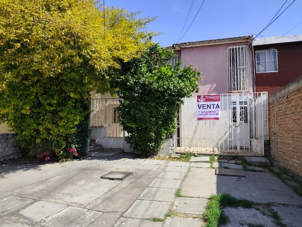 WhatsApp Image 2026-02-10 at 12.05.02 PM (2)