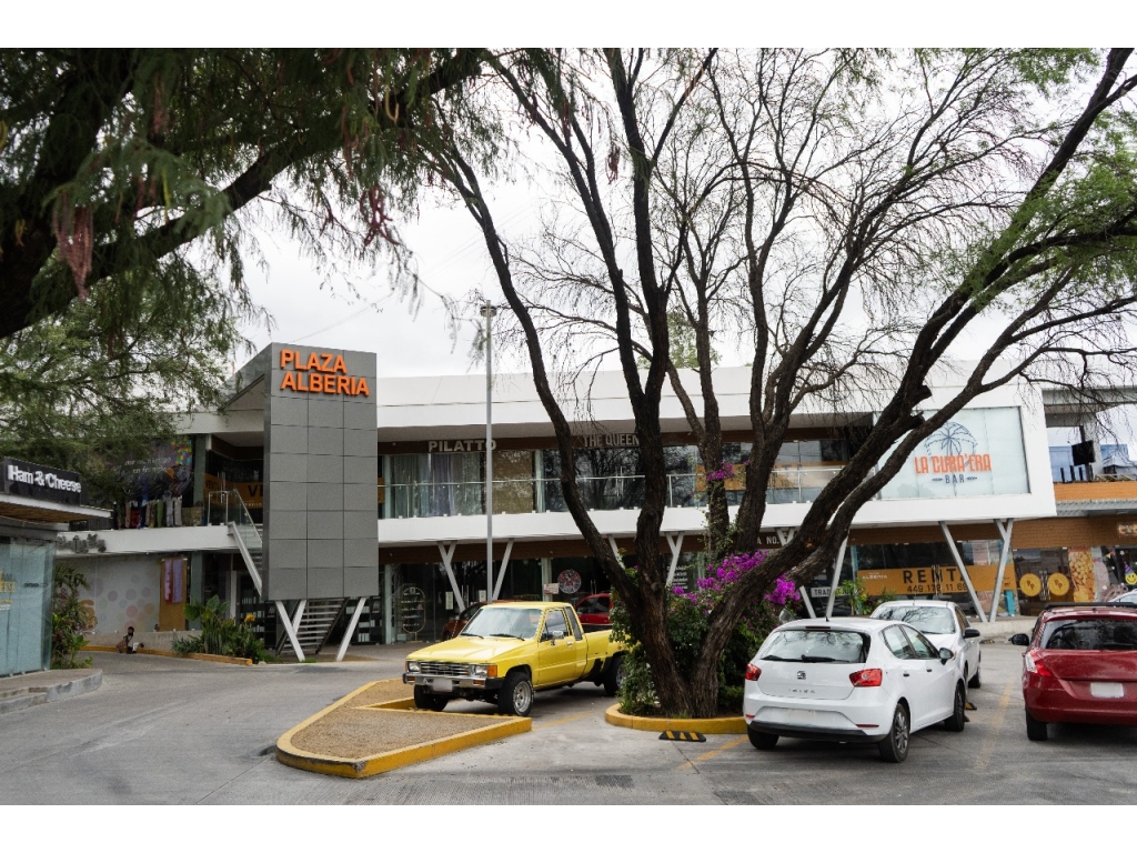 WhatsApp Image 2026-02-10 at 9.48.21 PM (3)