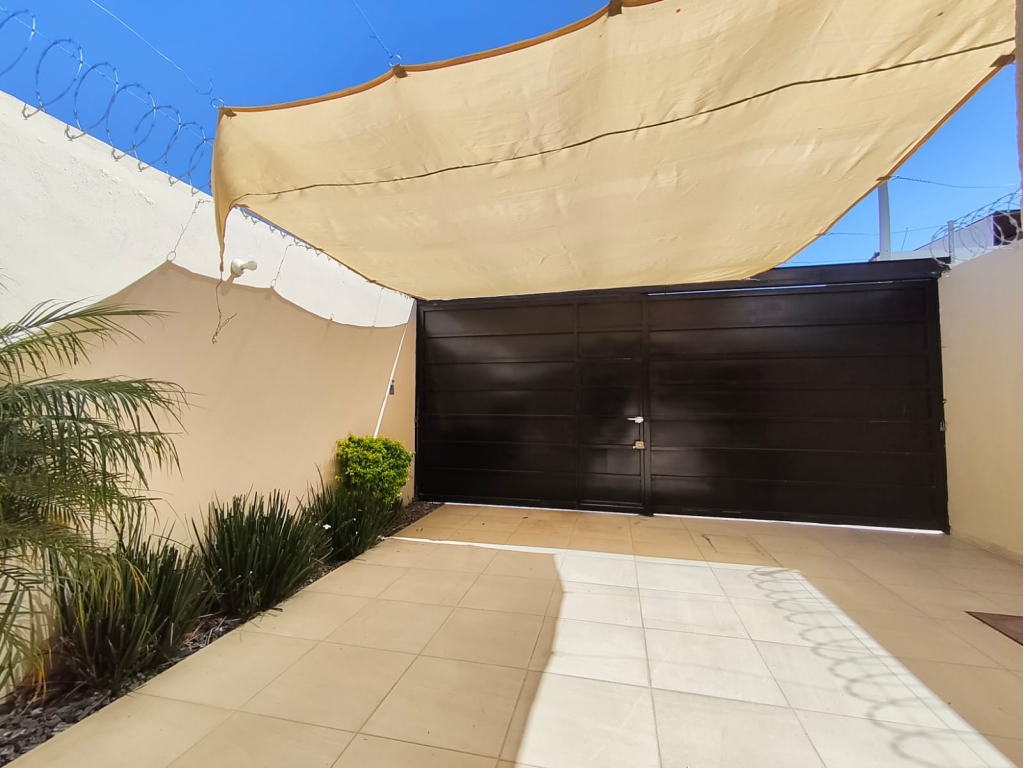 WhatsApp Image 2026-02-11 at 11.59.22 AM (1)