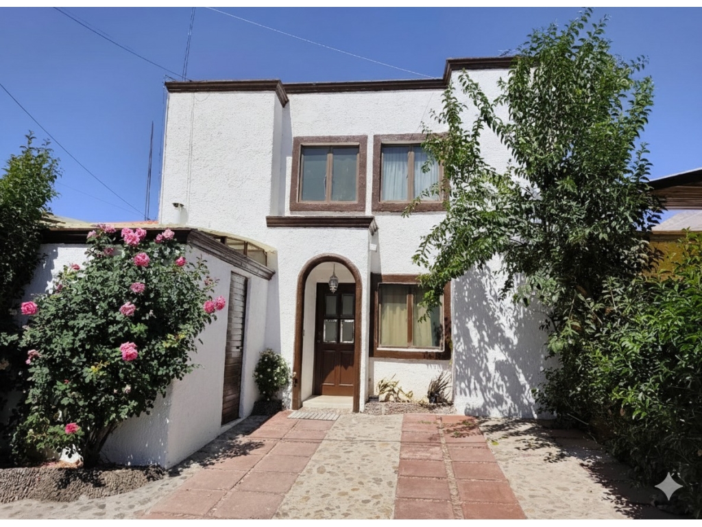 WhatsApp Image 2026-02-18 at 10.47.39 AM