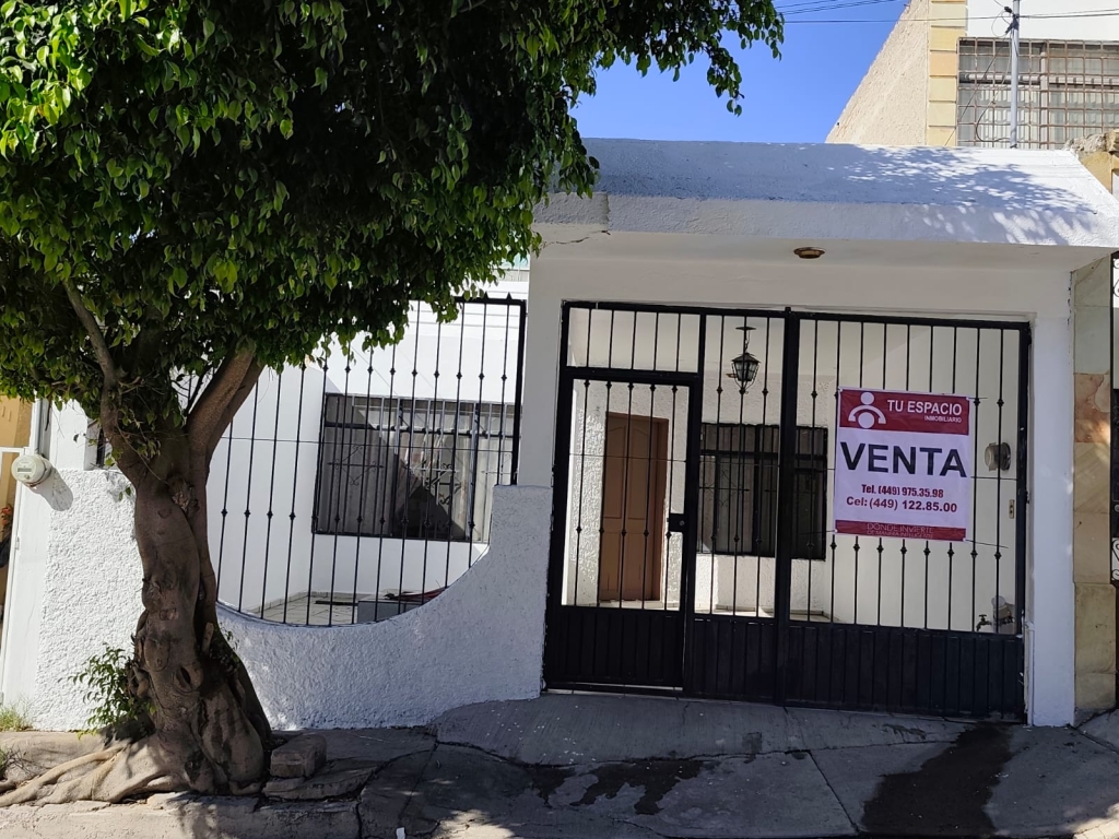 WhatsApp Image 2026-02-18 at 12.31.06 PM