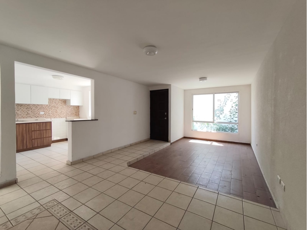 WhatsApp Image 2026-03-25 at 2.20.52 PM (2)