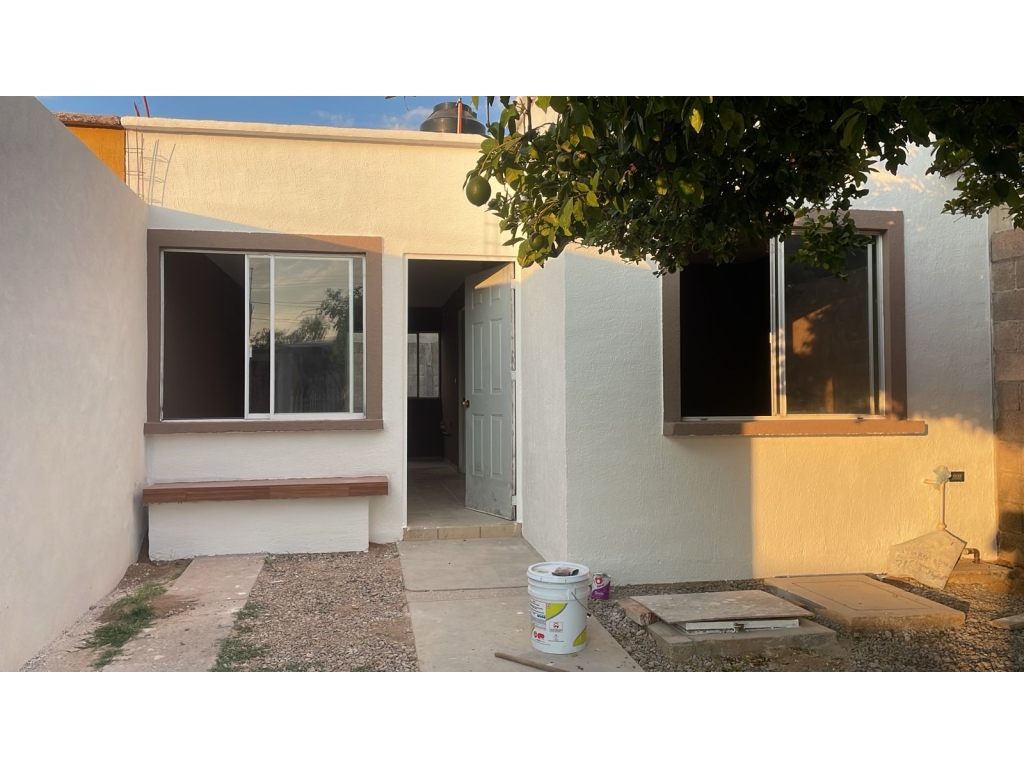 WhatsApp Image 2025-11-24 at 5.28.42 PM